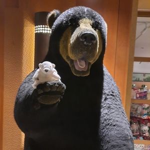 Meet your Posher, Janet